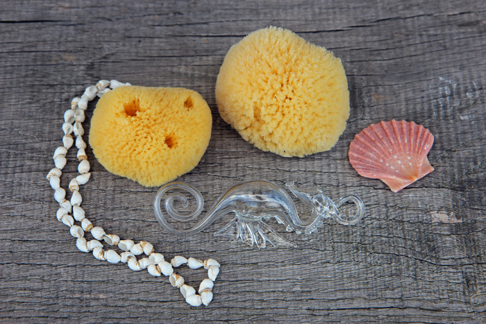 Jemná žlutá mořská houba menších rozměrů s mnoha póry a pevnější strukturou se výborně hodí pro čištění pleti.